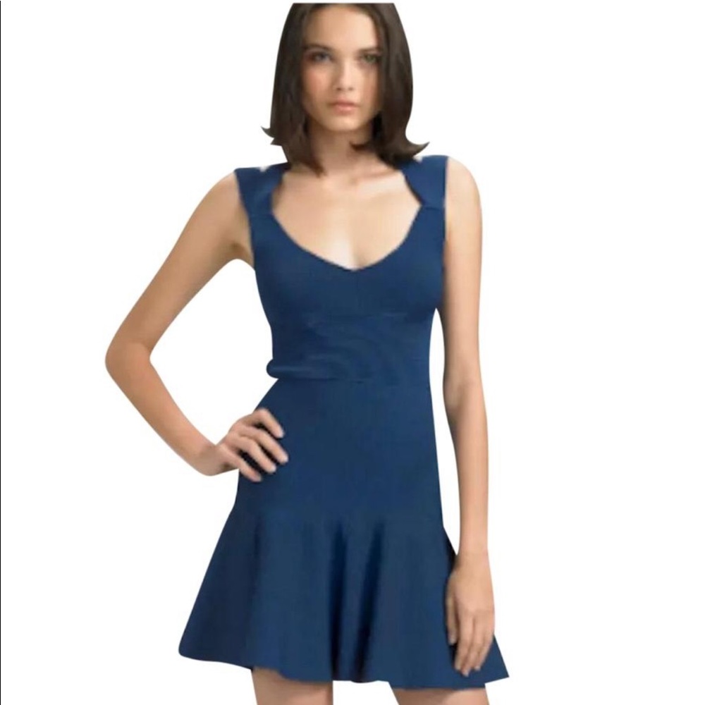 Vena Cava Blue fit and flare Cocktail dress